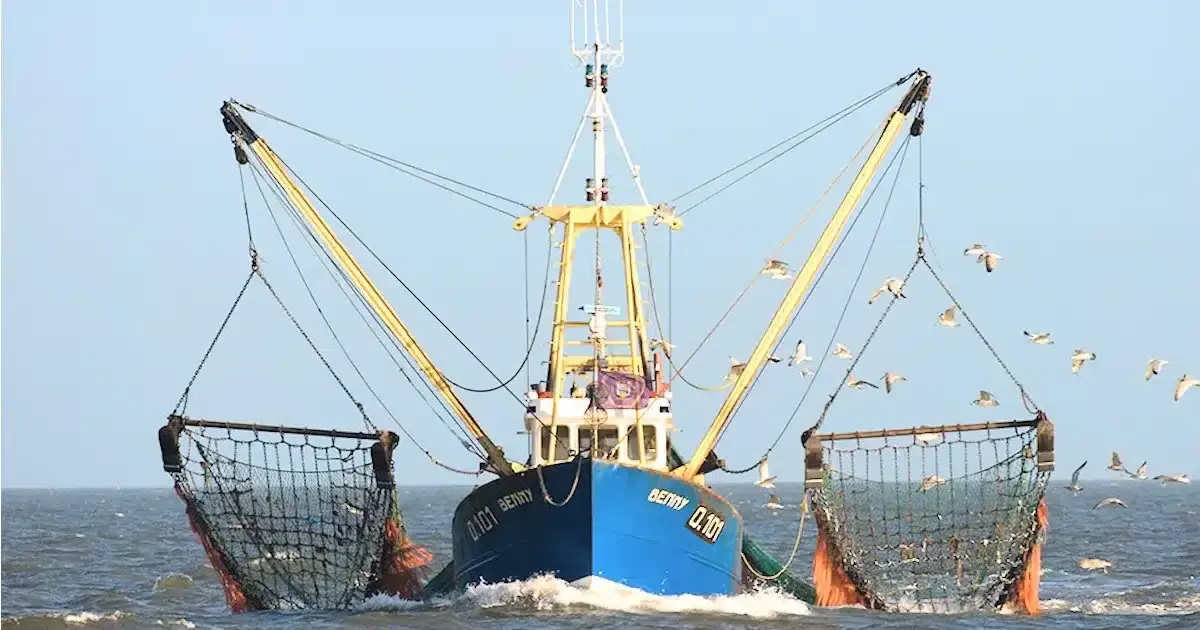 pescas união europeia