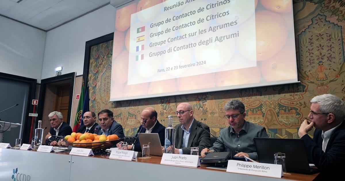 Reunião de especialistas em citrinos, Faro 2024.